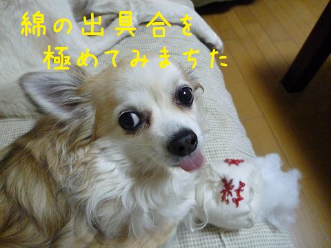 b0138430_20385995.jpg