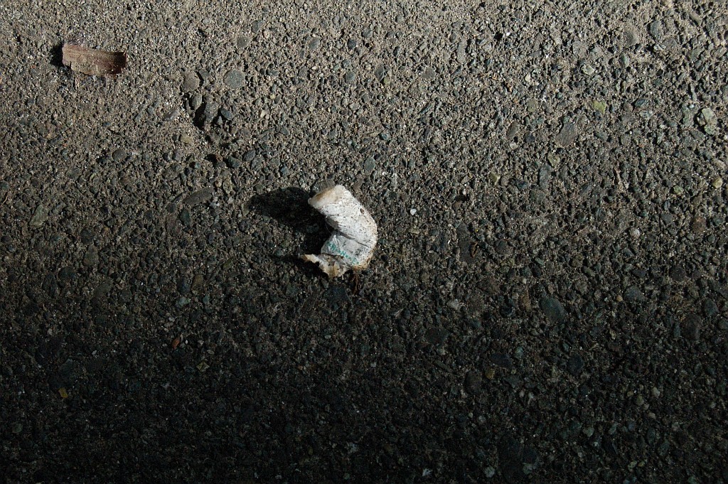 e0107030_0171447.jpg
