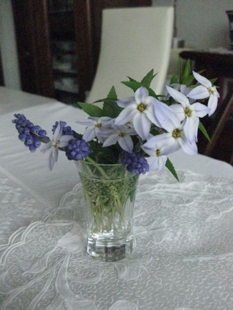 c0177332_2203321.jpg