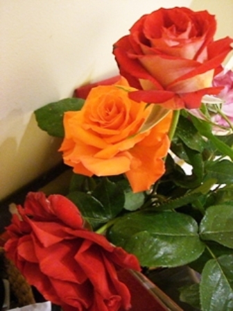 c0129033_5571934.jpg