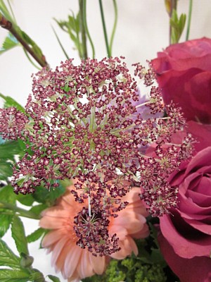 c0038434_2112950.jpg