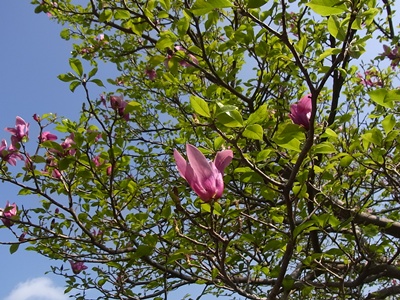 b0120541_154617.jpg