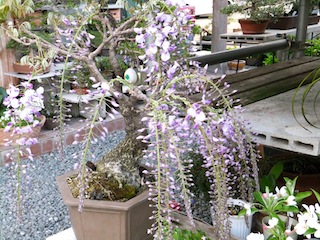 f0213347_1103356.jpg