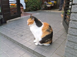 f0213347_111143.jpg