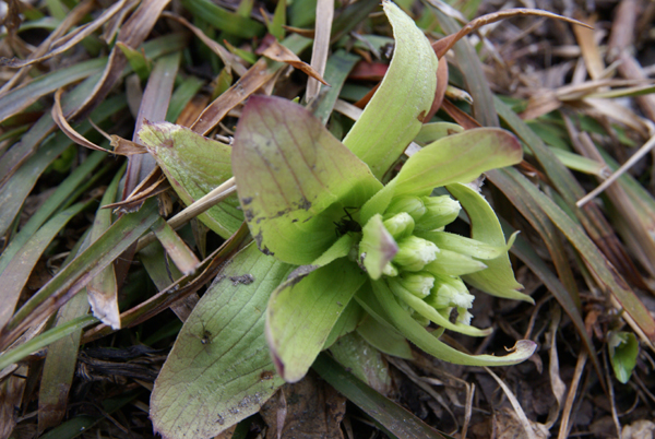 f0214649_4372440.jpg