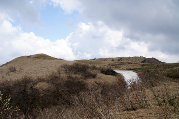 f0214649_4385541.jpg
