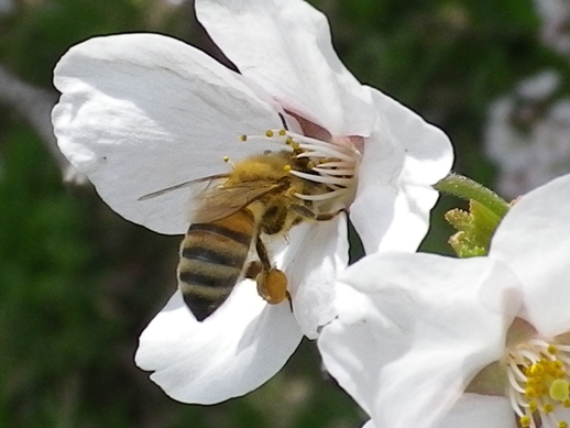 a0009750_1048191.jpg