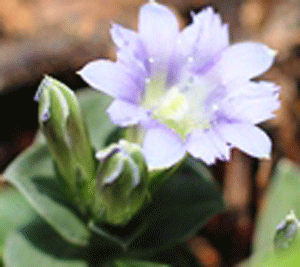 d0163550_1804277.gif
