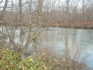 e0004756_19541838.jpg