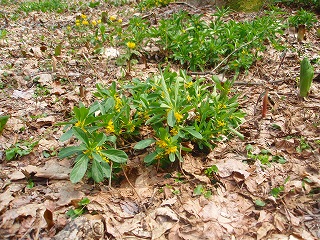 e0004756_20134259.jpg