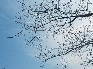 e0004756_20225942.jpg