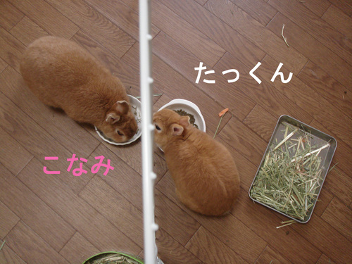 c0032257_1012148.jpg
