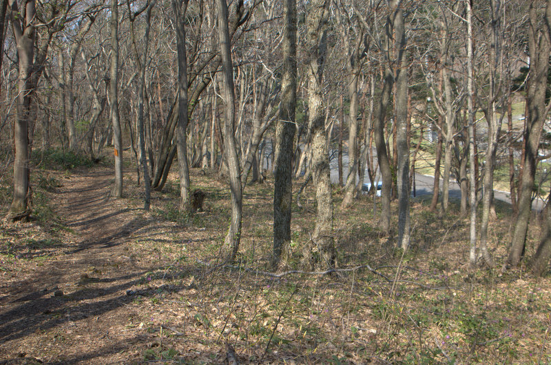 d0098057_933654.jpg