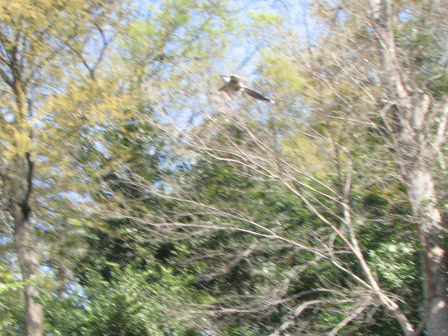 b0059860_17531225.jpg