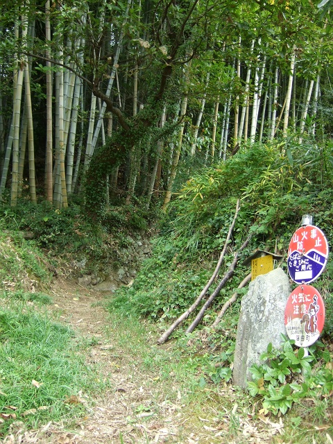 b0095061_1012359.jpg