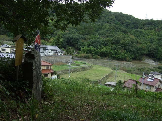 b0095061_1023239.jpg