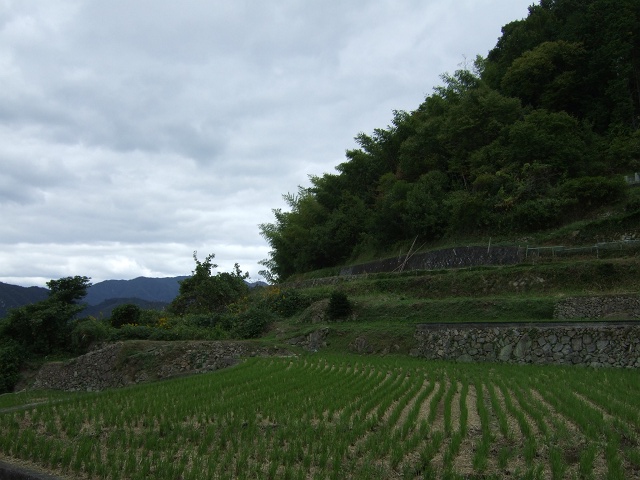 b0095061_10254740.jpg