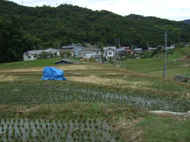 b0095061_10265064.jpg