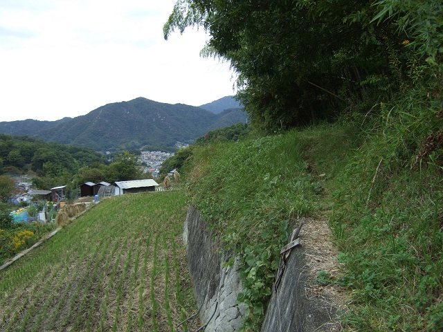 b0095061_103513.jpg