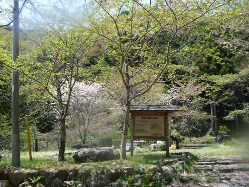 a0104464_1543268.jpg