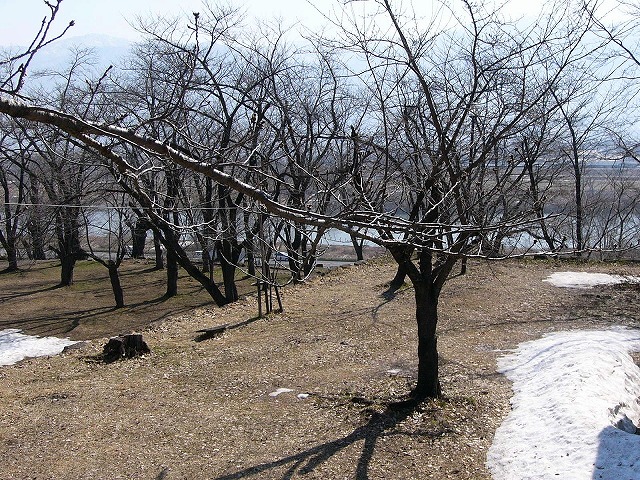 b0218664_90225.jpg