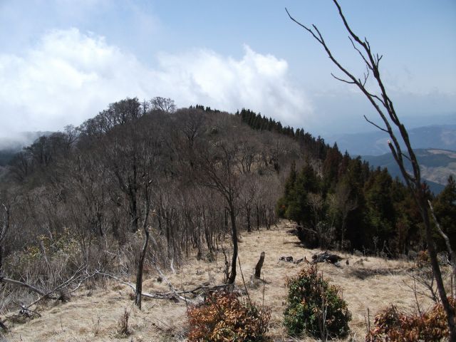 d0126573_1932946.jpg