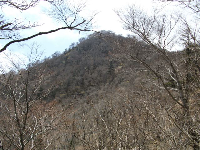d0126573_1935814.jpg