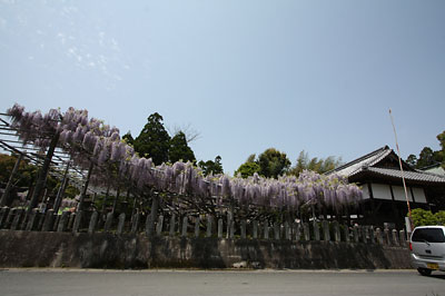 c0152779_0898.jpg