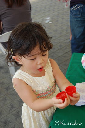 a0168980_2354230.jpg