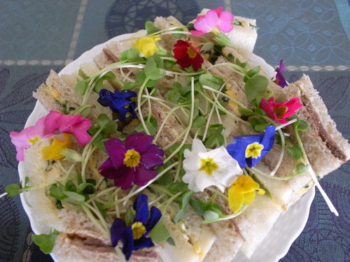 c0188784_2342214.jpg