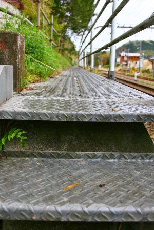 d0133693_11541695.jpg
