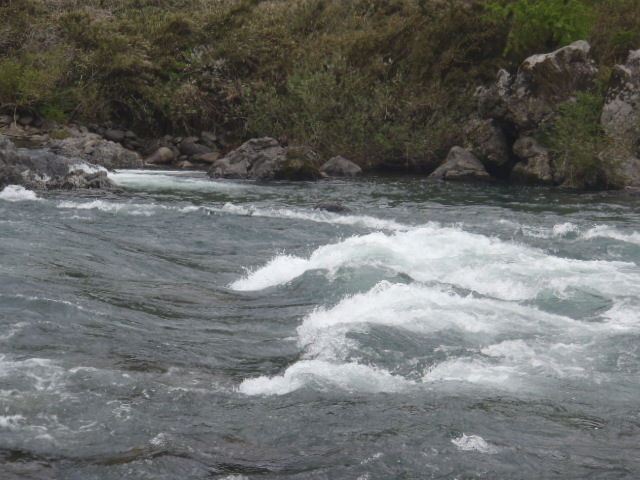 a0121502_9503416.jpg