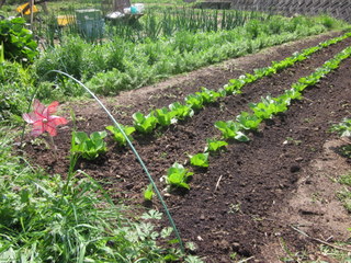 f0144707_1611372.jpg