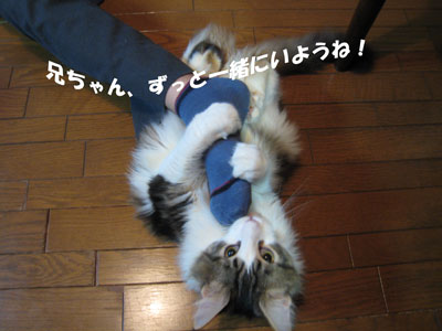 e0195115_1043027.jpg