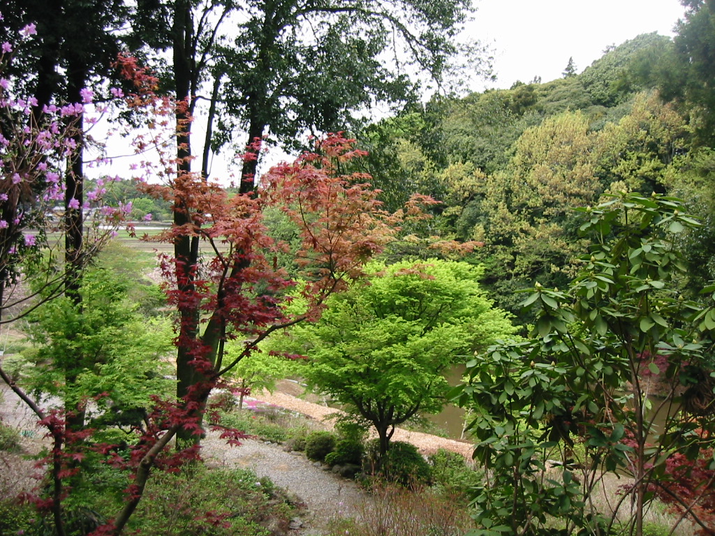 d0197317_21363424.jpg