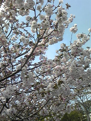 e0016120_11383161.jpg