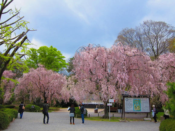 a0149621_1543045.jpg