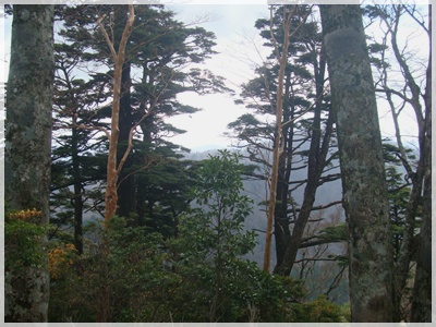f0193521_18474028.jpg