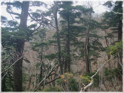 f0193521_185252.jpg