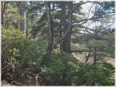 f0193521_18583761.jpg