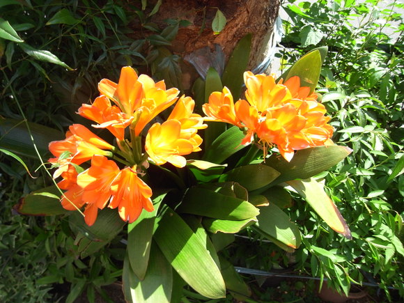 b0206423_14224427.jpg