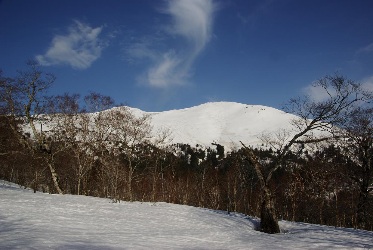 b0062024_842441.jpg