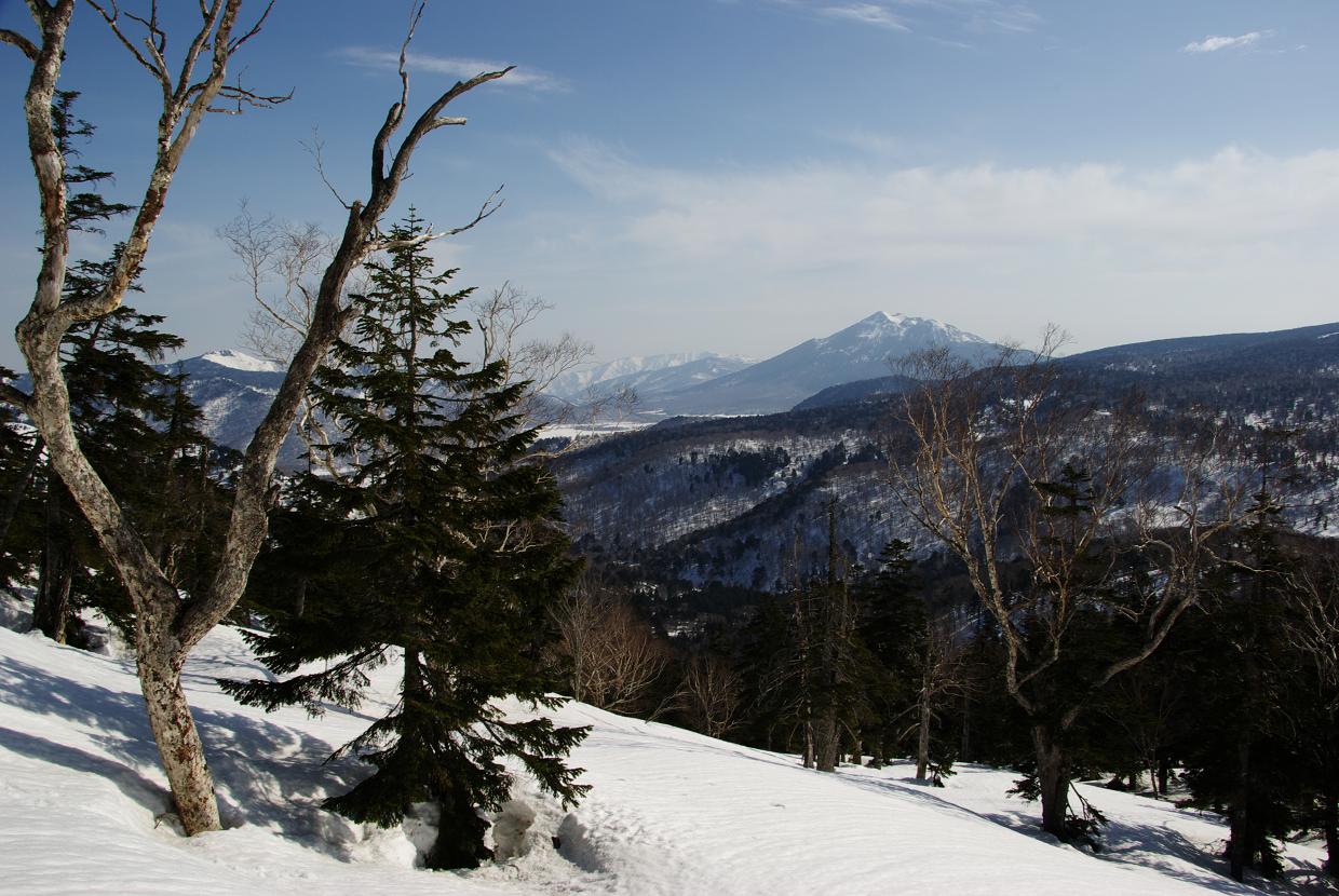b0062024_8445291.jpg