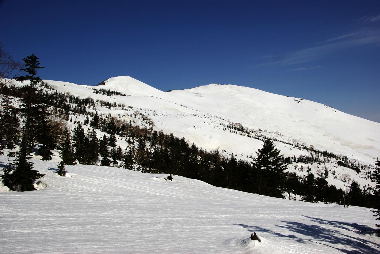 b0062024_8451869.jpg
