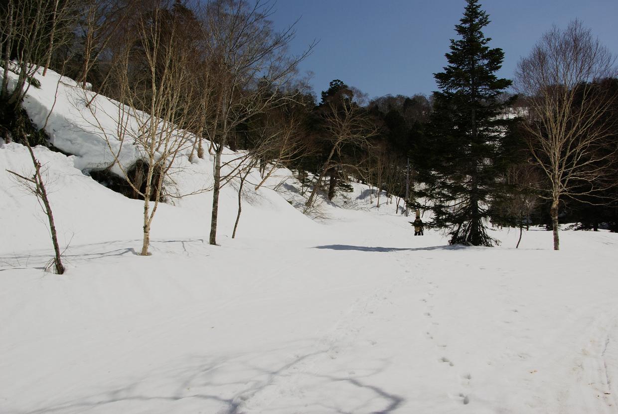 b0062024_8585416.jpg