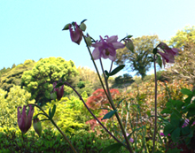 f0060424_1001758.jpg