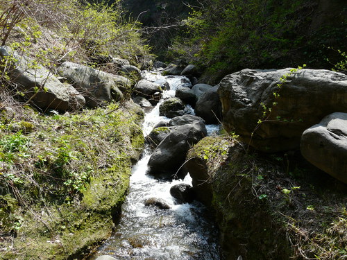 e0147226_22443785.jpg