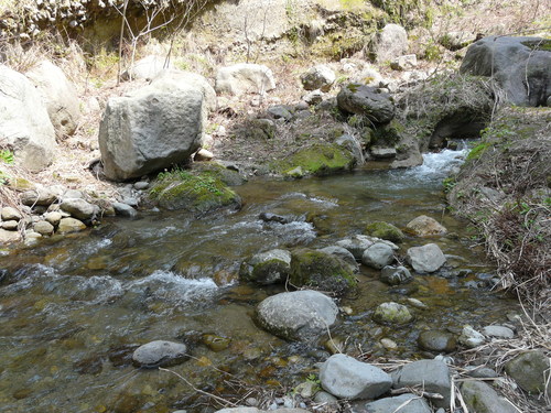 e0147226_22451919.jpg
