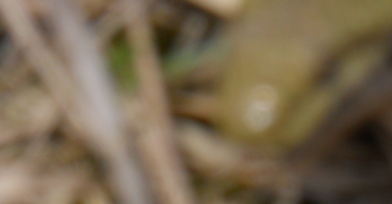 e0198128_1551171.jpg