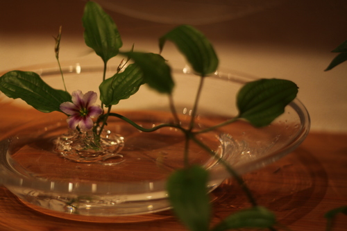 f0045630_824530.jpg